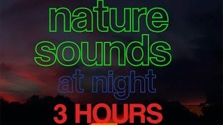 3 Hours of Nighttime Nature Sounds, Crickets, Frogs, Birds, Nature HD [1080p]