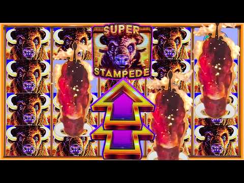SUPER STAMPEDE ON MAX BET… HANDPAY ARRIVES!!