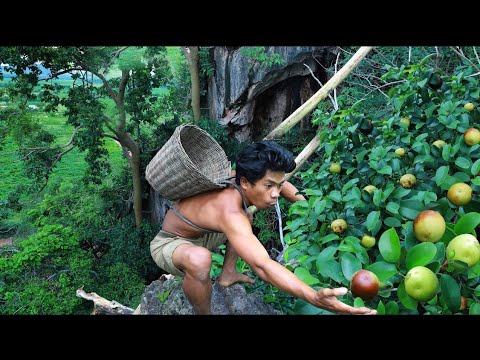 survival in Beautiful forest area - Rich Fruits at up the hill