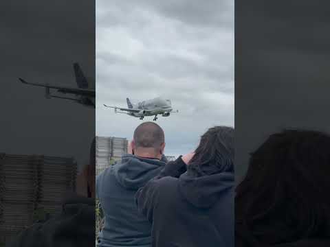 Airbus Beluga XL Landing! 😳😳😳💀💀💀🗿🗿😱
