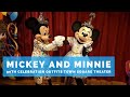 Mickey And Minnie Surprise Celebration Meet And Greet Magic Kingdom
