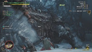 モンスターハンターワイルズ　アルシュベルドを狩る！