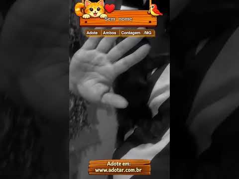 Vídeo de Sem nome 