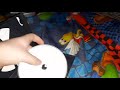 Testing DVDs On My Magnavox Portable DVD Player Version 5
