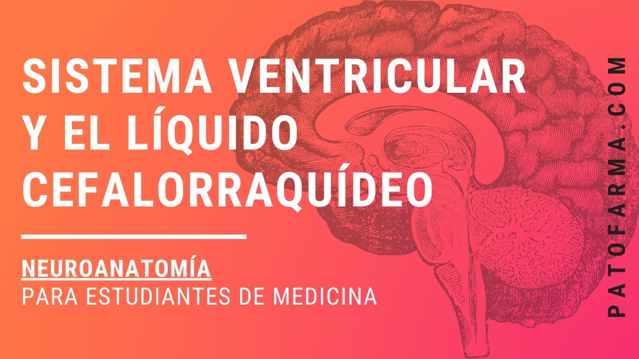 NEUROANATOMÍA: Sistema Ventricular Y Líquido Cefalorraquídeo