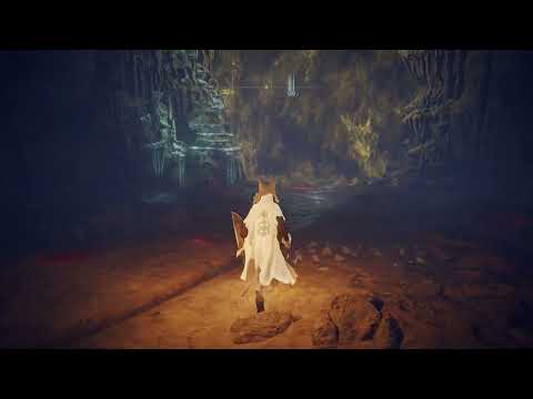 Elden Ring Get to Boss Astel Naturalborn of the Void