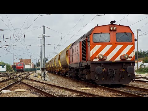 Manobras do comboio "Ramalhal" e outras composições na estação de Louriçal