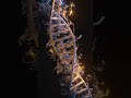 DNA In Motion Short Animated Insights Into Genetic Wonders