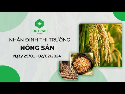 Nhận định thị trường hằng ngày