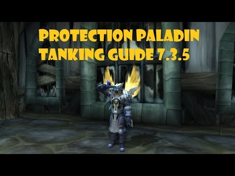 Protection Paladin Tanking Guide 7.3.5
