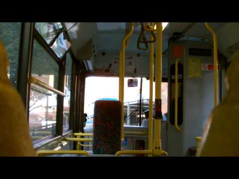 Red Rose Travel 50523 Y842TGH