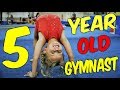 Adorable 5 Year Old Gymnast Kyleigh Ultimate Gymnastics