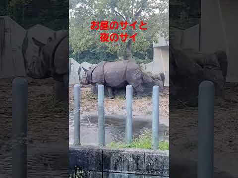 サイはどこに住んでいますか?