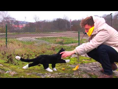 Evighetsbarnen av Beate Grimsrud - YouTube
