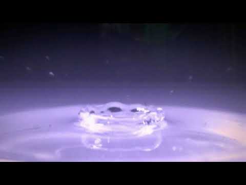 Raw miat mi leh khamkhu.