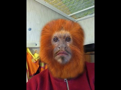 niilo22 testaa kausi 4 osa 4