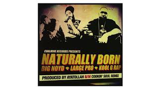 Big Noyd &amp; Large Professor &amp; Kool G Rap - Naturally Born (MirrorBeatz Remix)