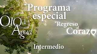 PROGRAMA ESPECIAL INTERMEDIO