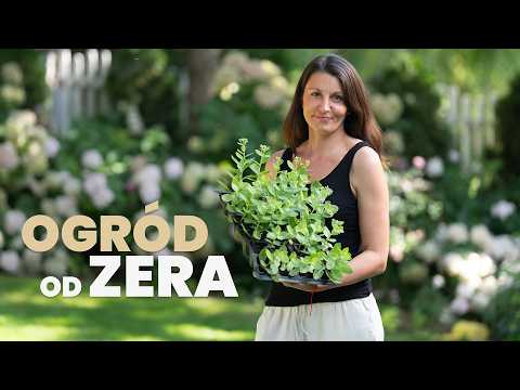 How I Created My Dream Garden Without Spending a Fortune? 🌹My Plant Propagation Tips for a Lush G...