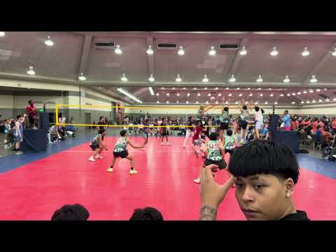 RICE COOKERS VS CYC AND NVNL BIG Ls