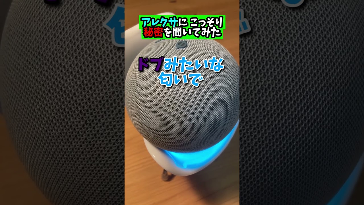 こっそりアレクサの秘密を教えてもらった #アレクサ #秘密
