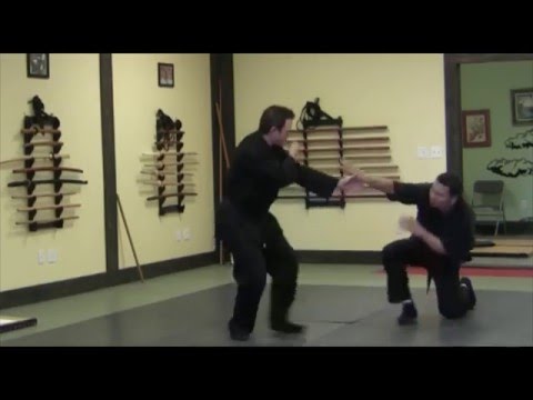 Batsugi (拔技) "Removal Technique" | Koto Ryu Koppojutsu (虎倒流骨法術)