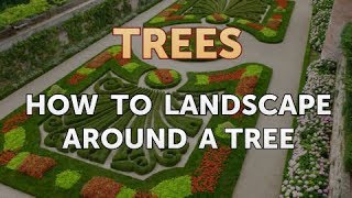 How to Landscape Around a Tree