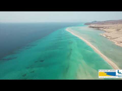 U.D. GRAN TARAJAL VS U.D. IBARRA