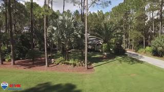411 Pine Bluff Dr  Lutz, FL 33549 Branded