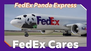 An epic FedEx Panda Express flight: our first-round trip panda journey