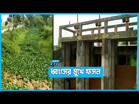 মেহেরপুরে ৩ স্লুইসগেট বিকল