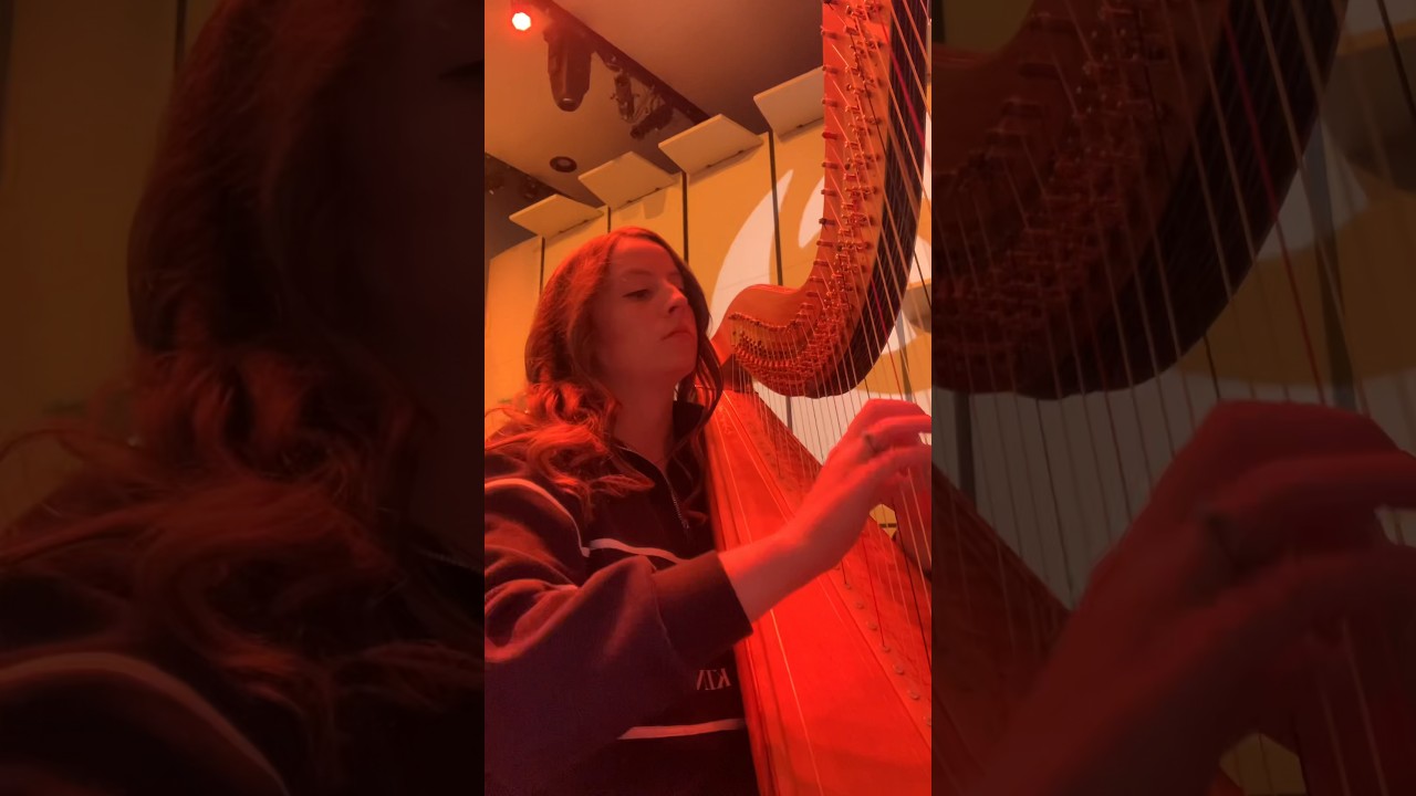 Promotional video thumbnail 3 for Joanna Seiber