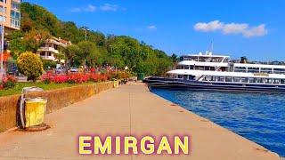 Emirgan’da Bir Sabah