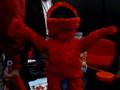 Singing Dancing Elmo Live