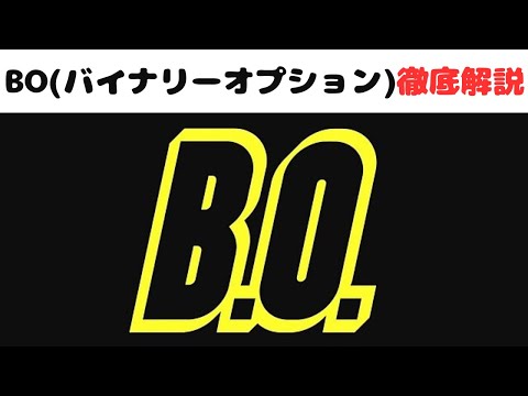 .boについて詳しく解説