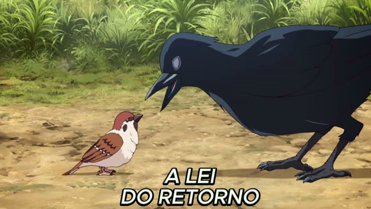 A LEI DO RETORNO (  VEJA QUE MENSAGEM LINDA PARA SE REFLETIR )