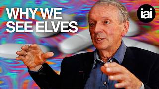 Why do people see elves when they take DMT? | Rupert Sheldrake