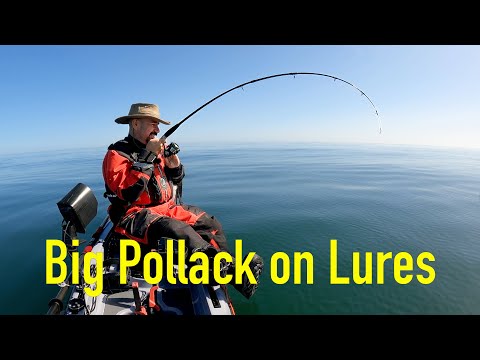 Double Figure Pollack on Lures -  Kayak Sea Fishing UK - Hauxley - Northumberland