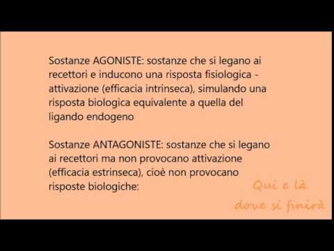 Ooo toro martello città-m Come prendere una caduta del martello di Thor prima dei pasti o dopo i pasti