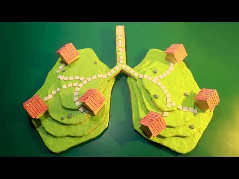 5th ASEAN Youth Video Contest - Dyspnea Island