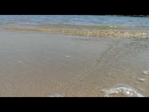 beach waves video from 7 years ago