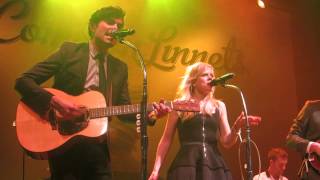 The common linnets - Sun song