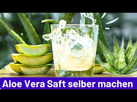 Aloe Vera Saft selber machen