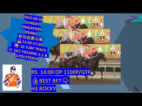 2022-08-28 SUNDAY|🇸🇬SINGAPORE KRANJI HORSE RACING SELECTION新加坡赛马事|TIPS|WINNER