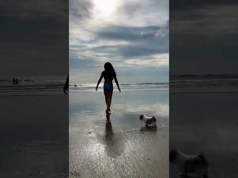 Nos fuimos de playa con Ody