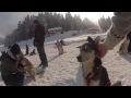 Schlittenhunde Tageskurs, Husky Erlebnis für einen Tag Video
