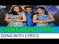 Chinnado Vaipu Song With Lyrics - Brindavanam Songs - Jr. Ntr, Samantha, Kajal-Aditya Music Telugu