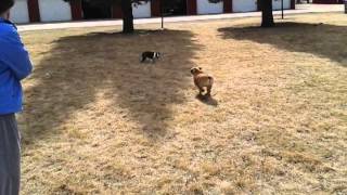 Download lagu Lola and Ruby mp3