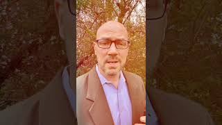 How To Get Rid Of Brain Fog...