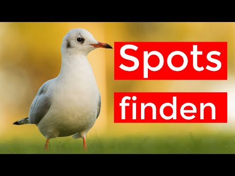 So finde ich meine Locations zum Fotografieren und Beobachten